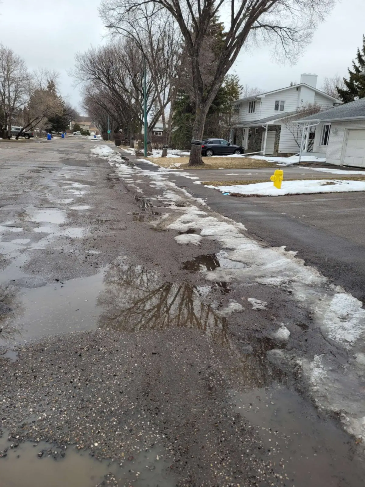 Road image 113