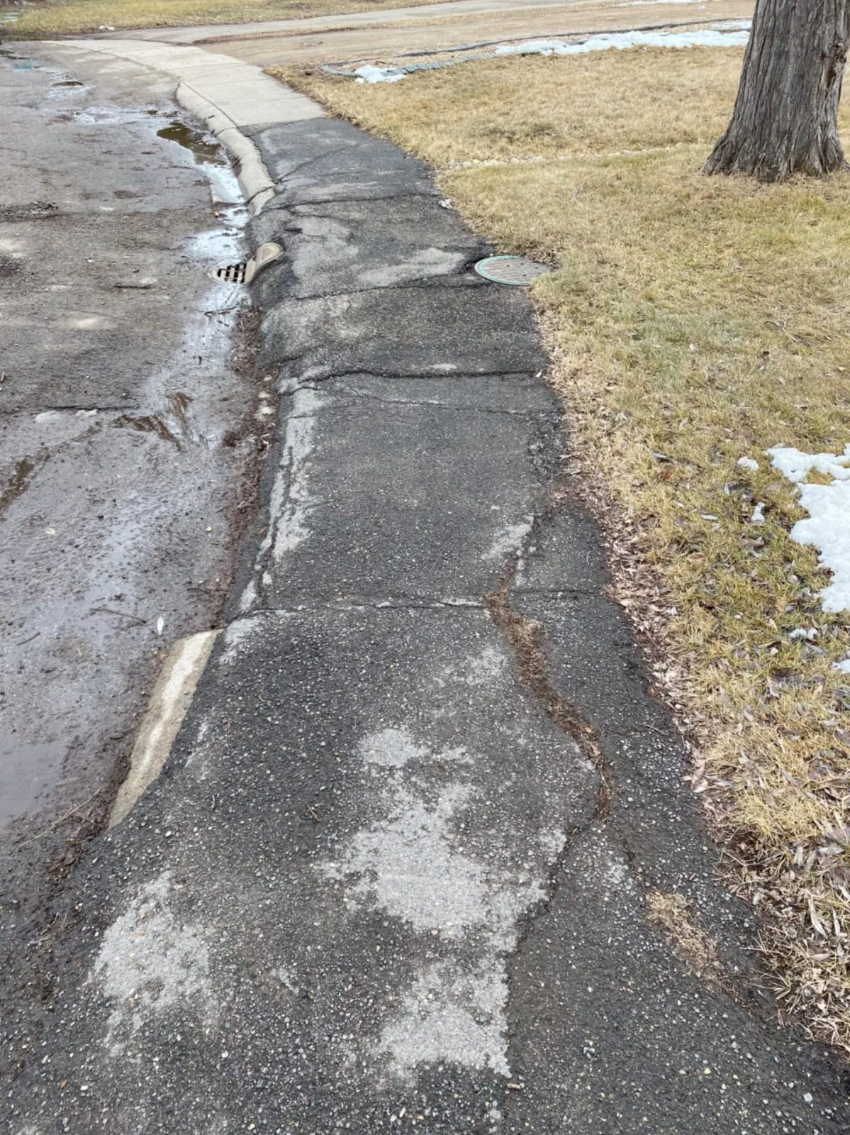 Road image 131
