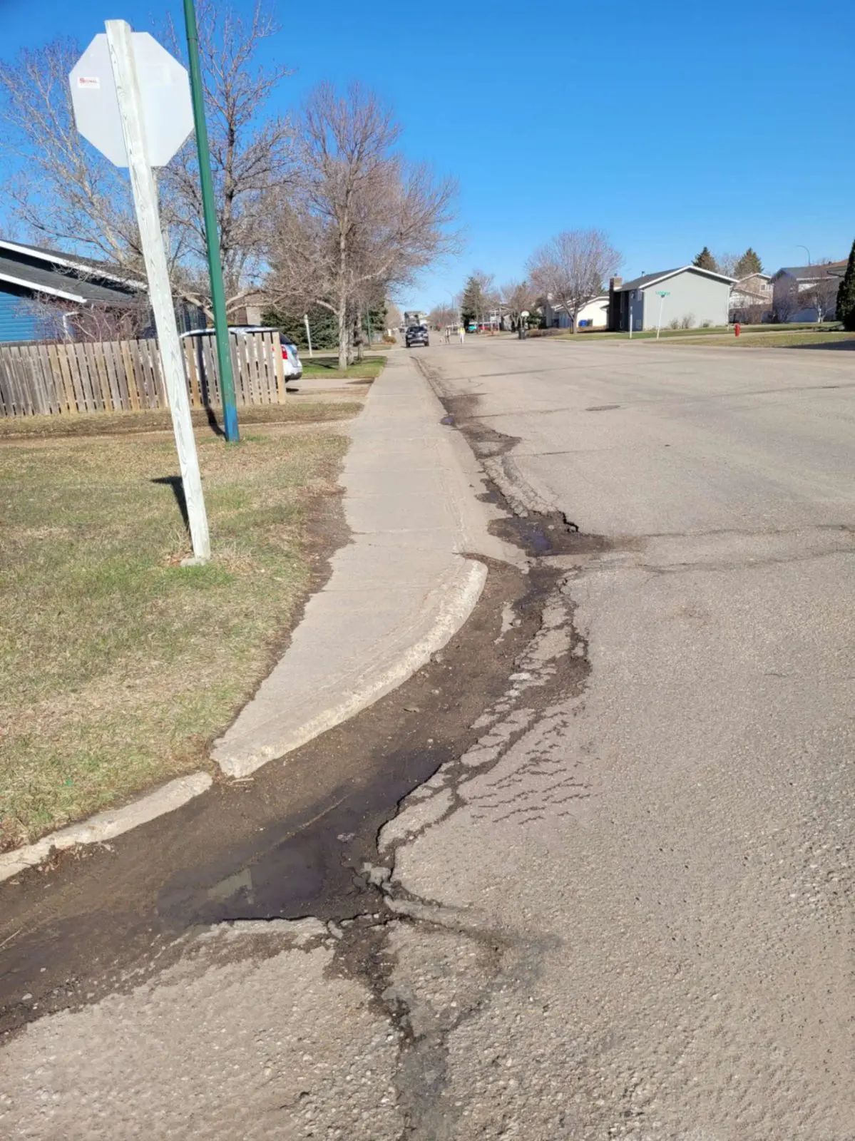 Road image 8