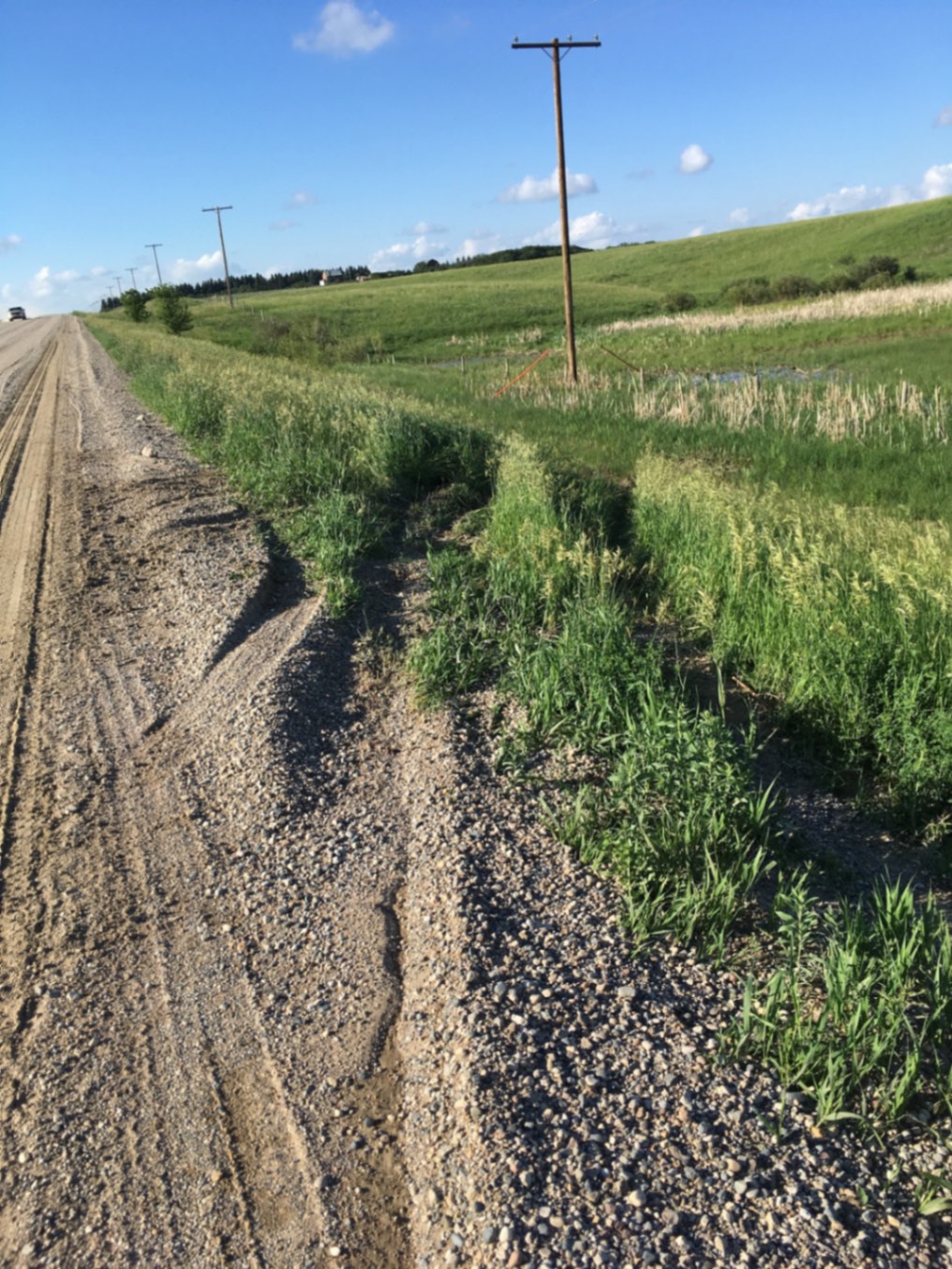 Road image 4